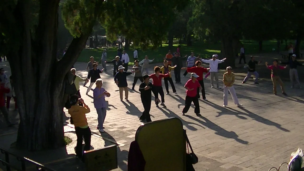 Large group Tai Chi session on a paved plaza with long morning shadows